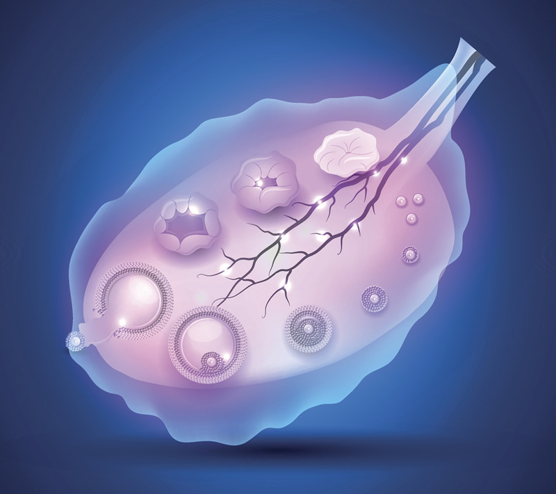银川免疫性不孕做试管医院选择指南：附本地正规生殖中心对比与医生推荐